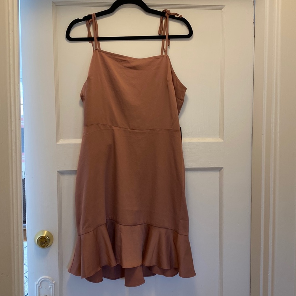 Express Size Large Satin Rose Dress